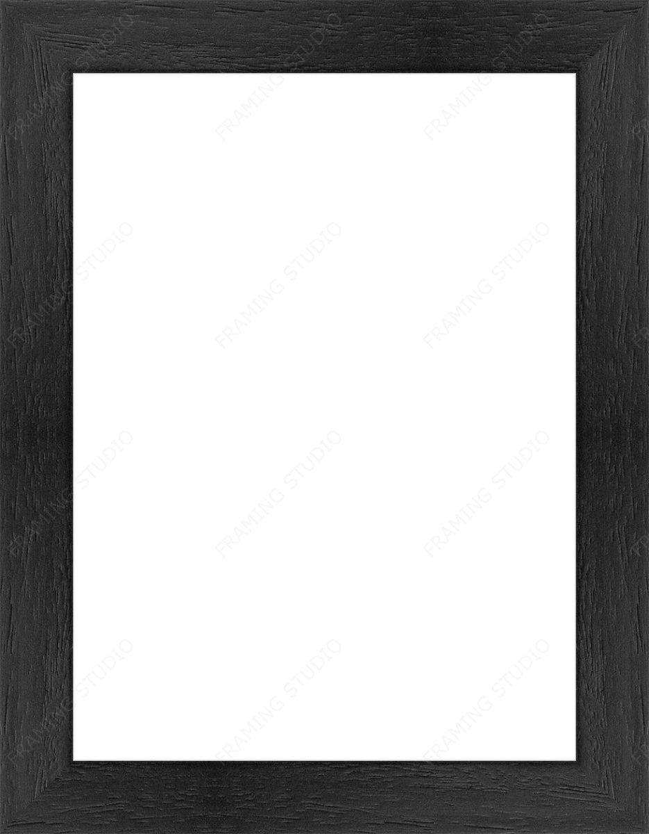Custom Frame + Mount