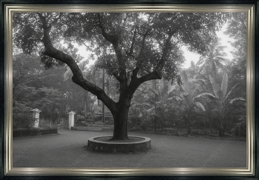 Custom Frame