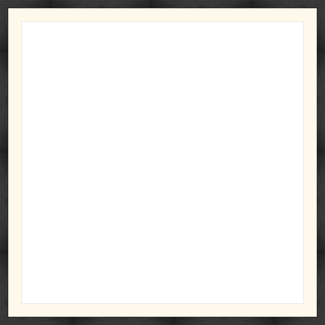 Custom Frame Preview