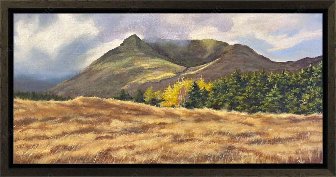 Custom Frame