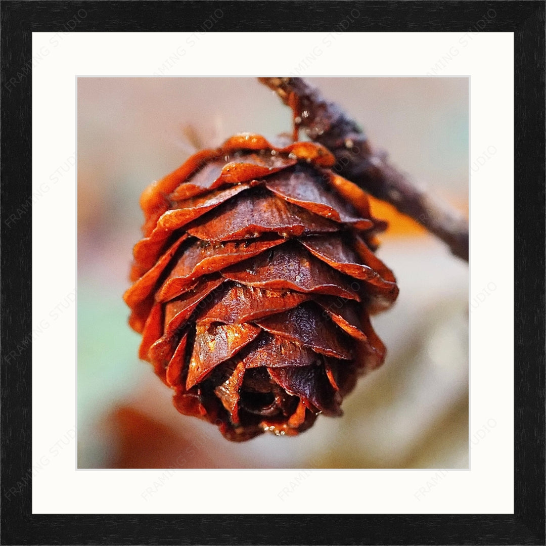 Upload, Print & Frame