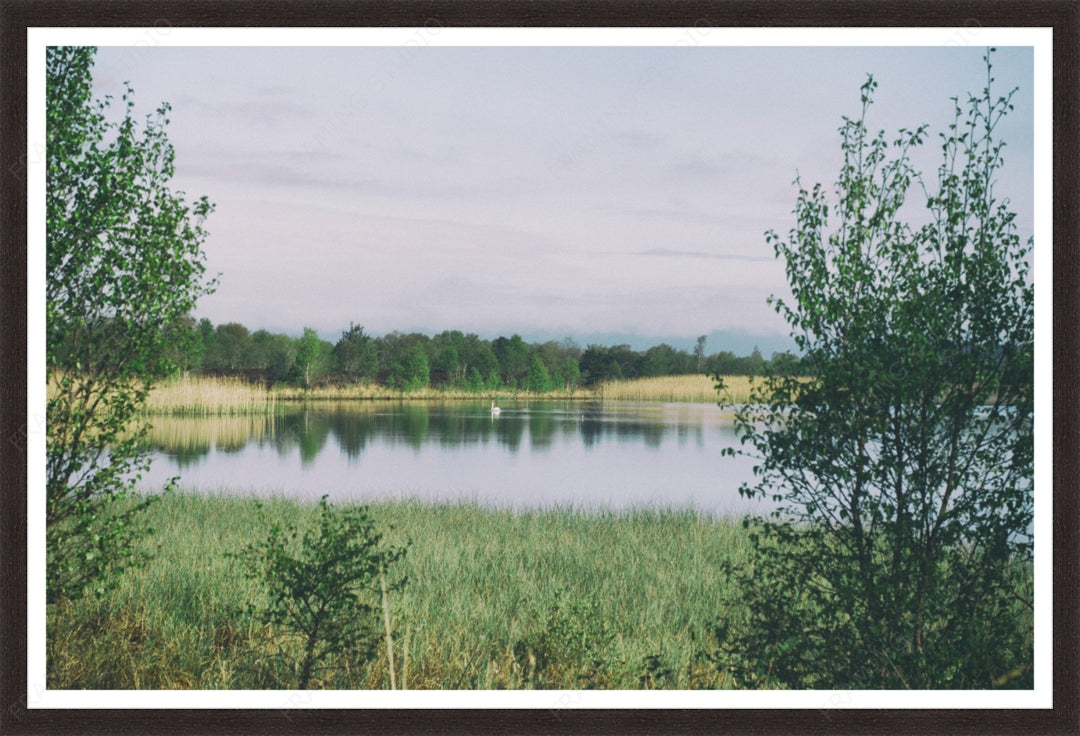 Custom Frame + Mount