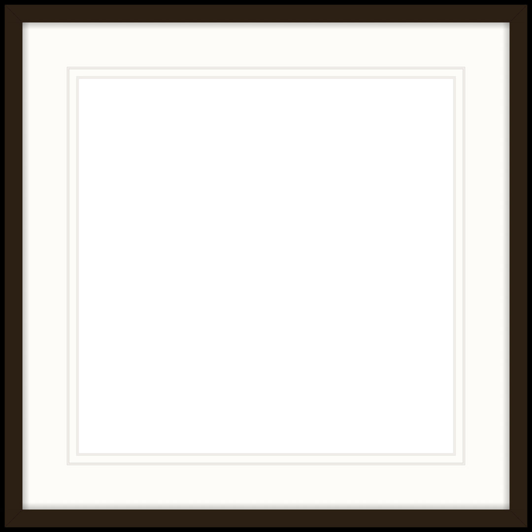 Custom Frame Preview