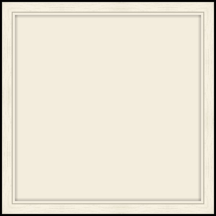 Custom Frame Preview