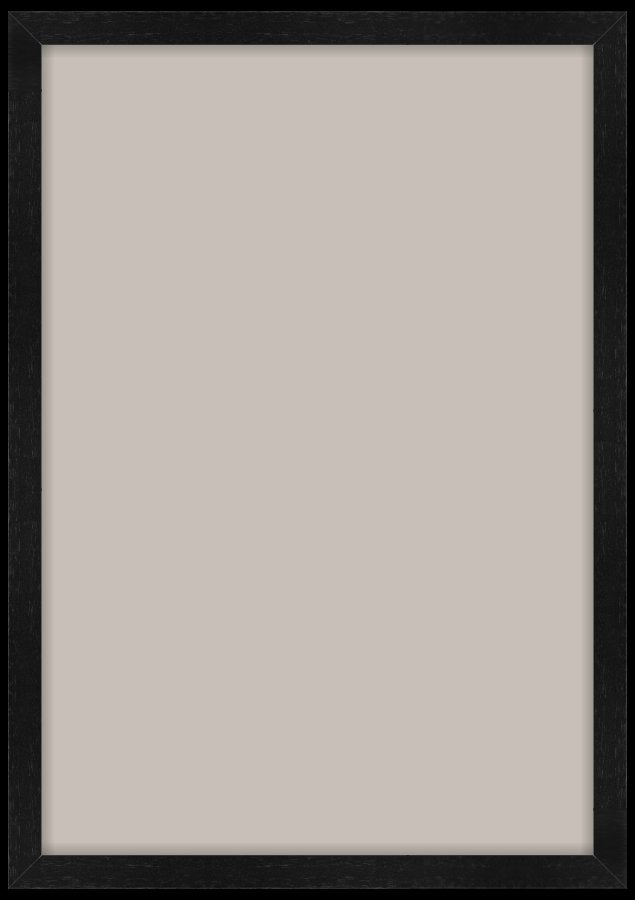 Custom Frame Preview