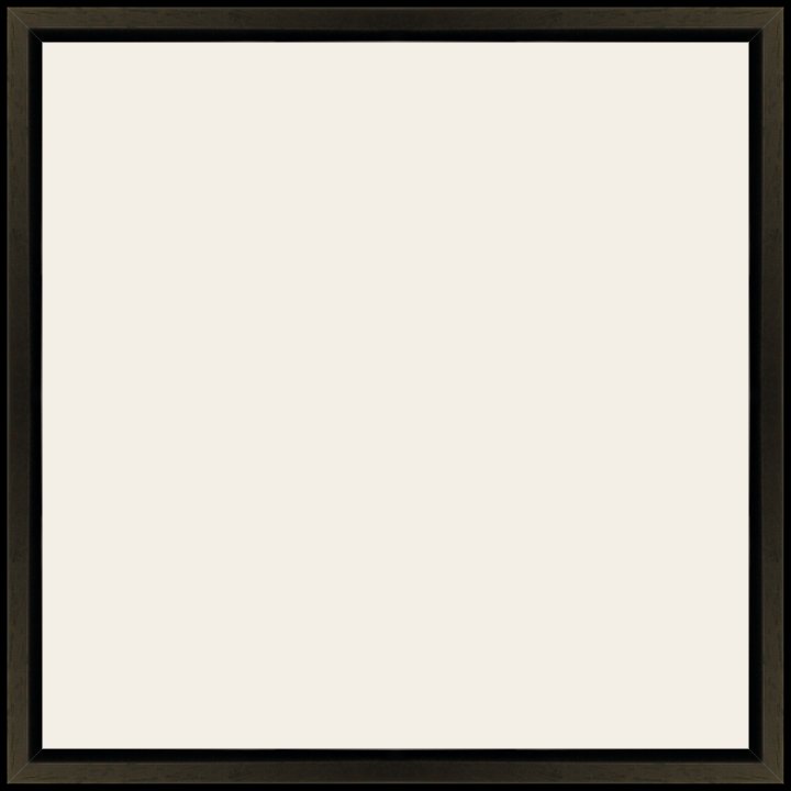 Custom Frame Preview