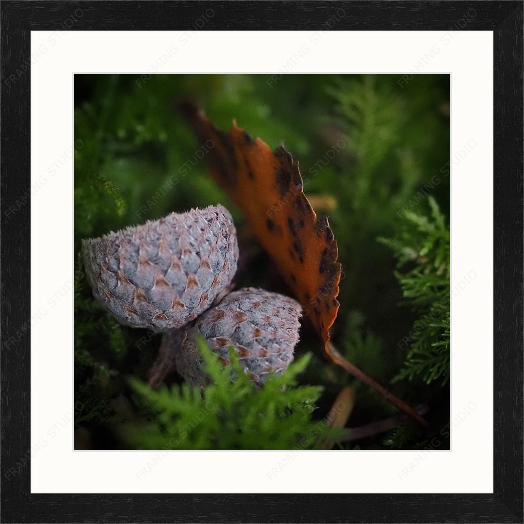 Upload, Print & Frame