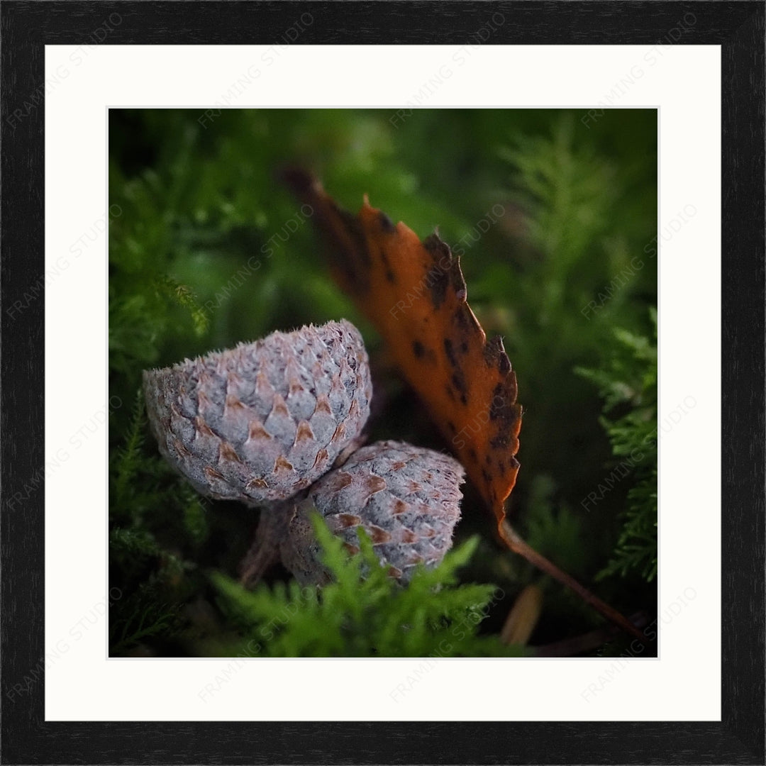 Upload, Print & Frame