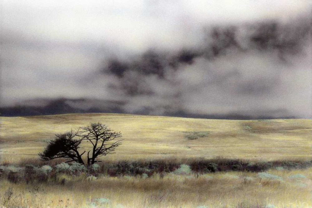Artwork by Culver, Laura