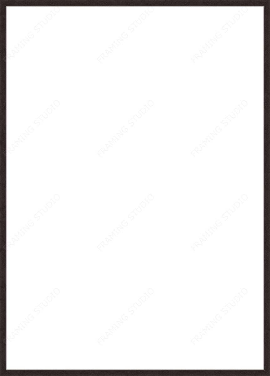 Custom Frame