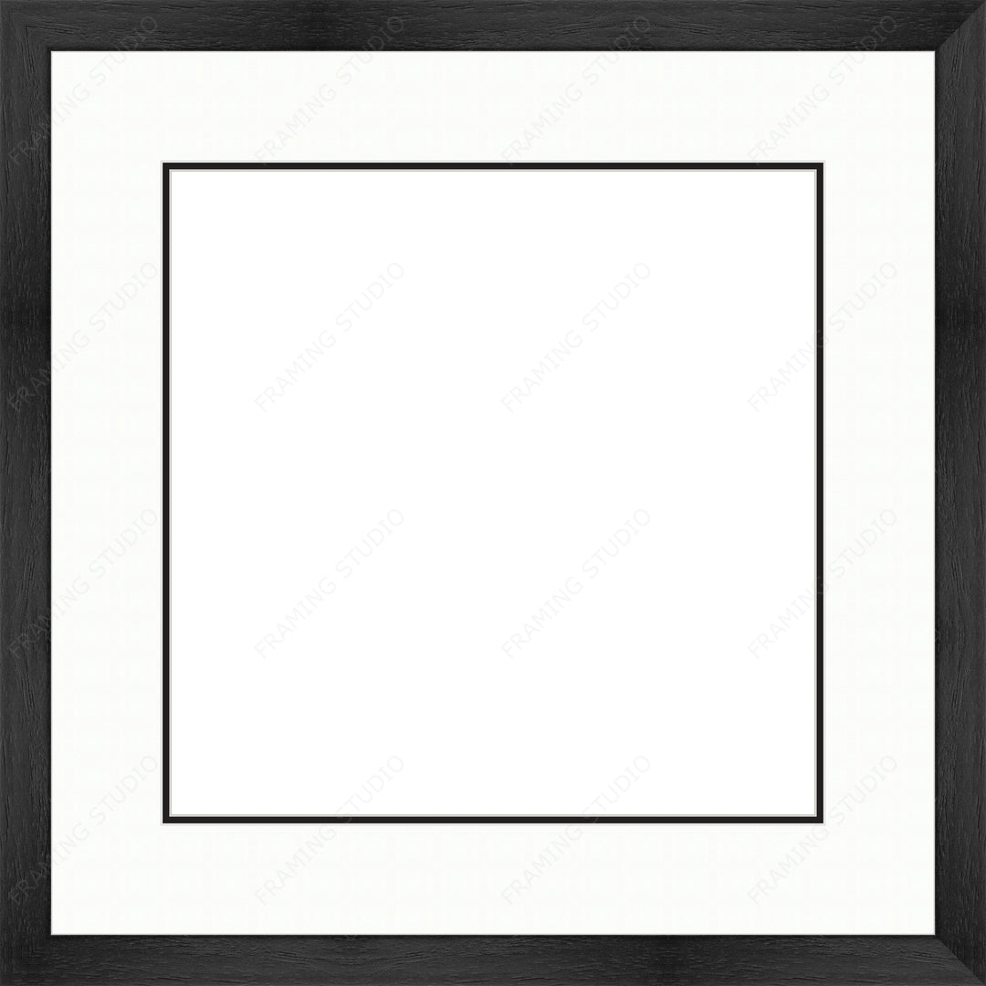 Custom Frame + Mount