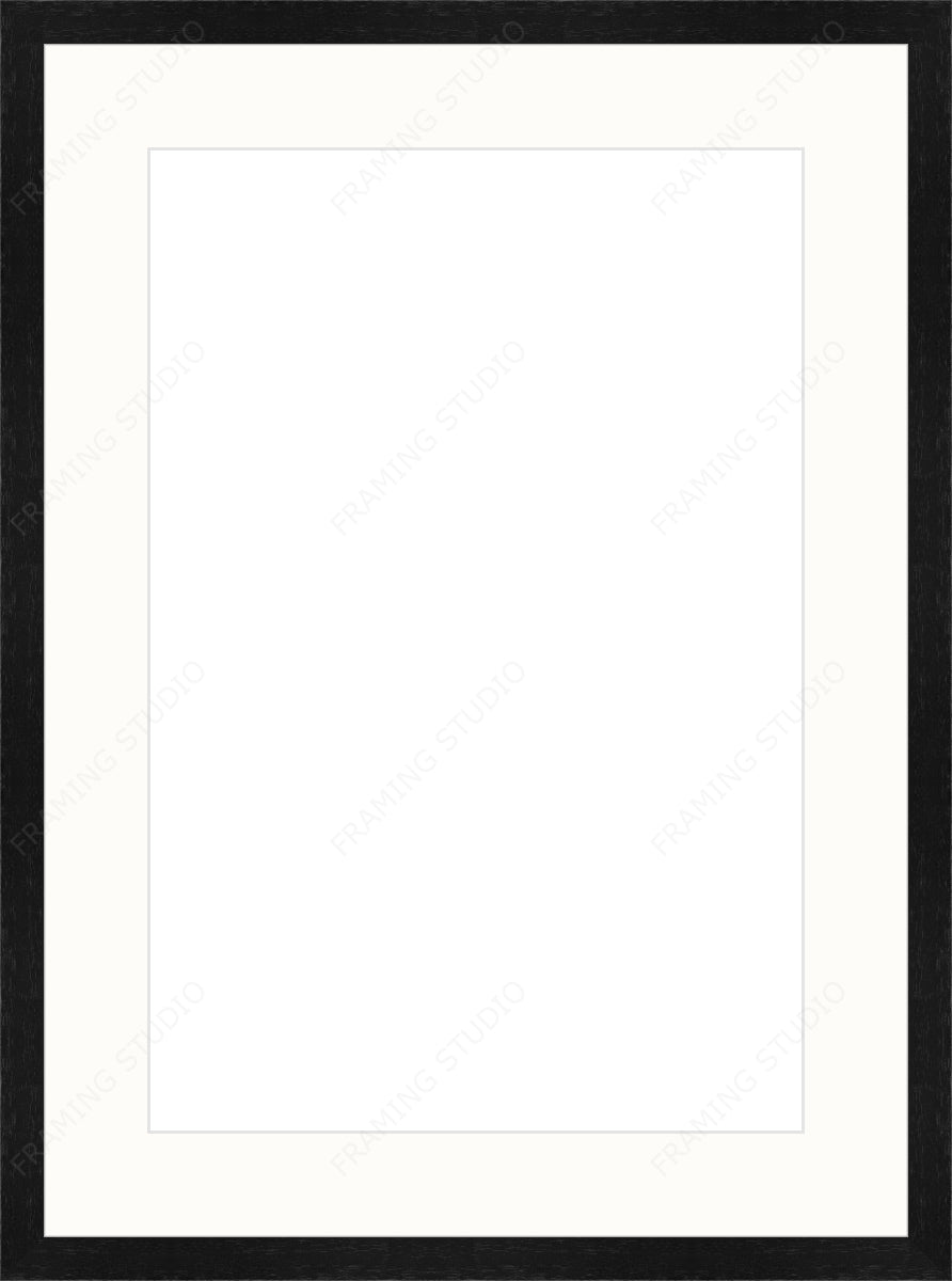 Custom Frame + Mount