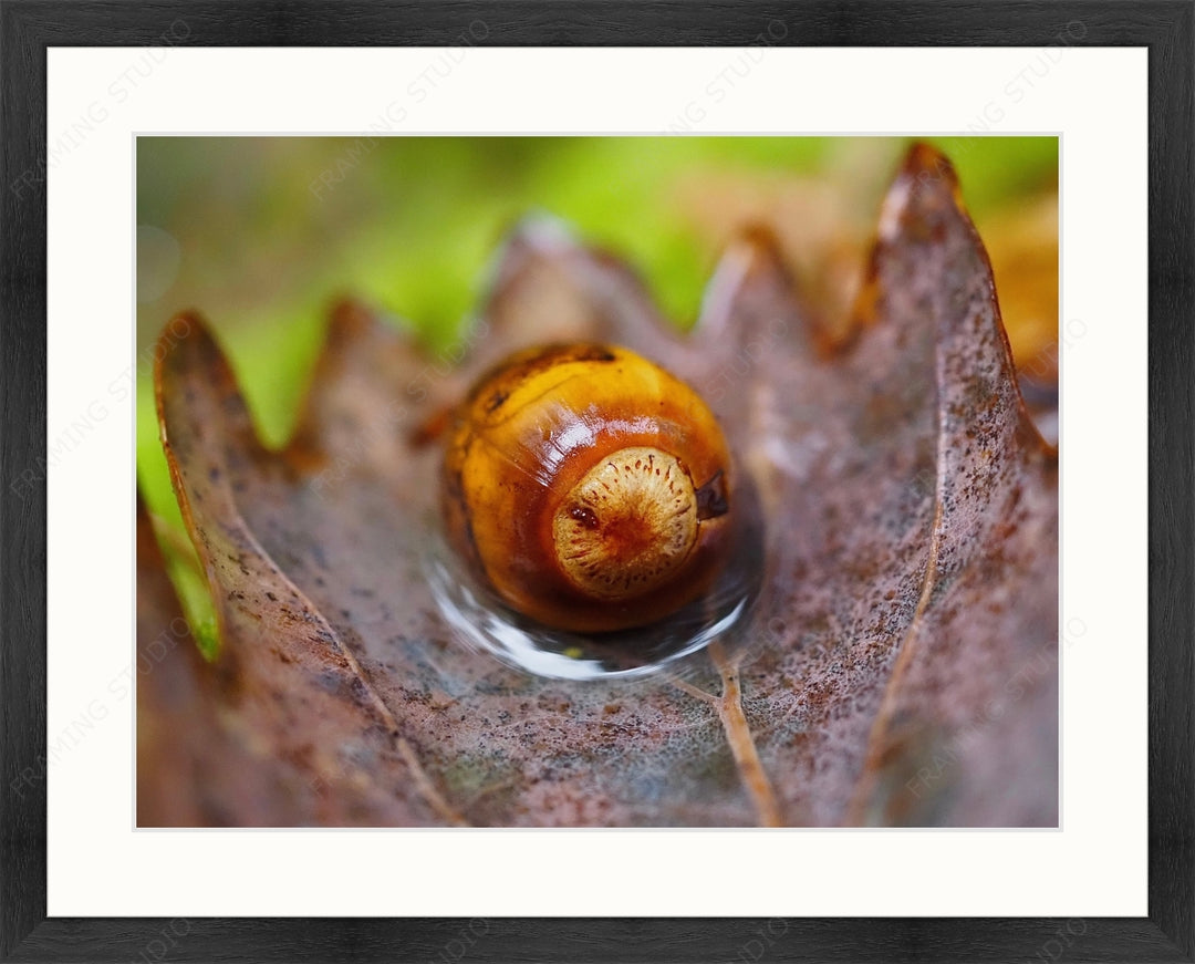 Upload, Print &amp; Frame