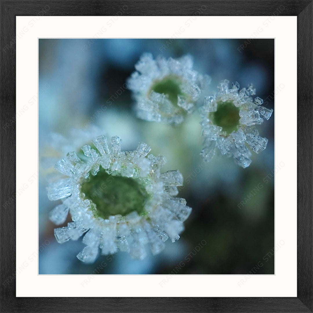 Upload, Print & Frame