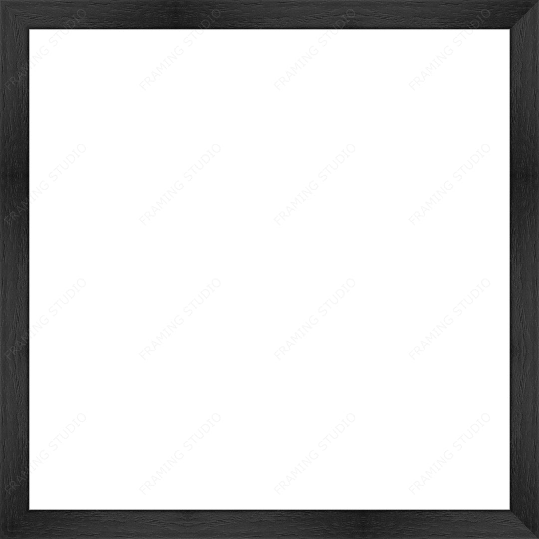 Custom Frame
