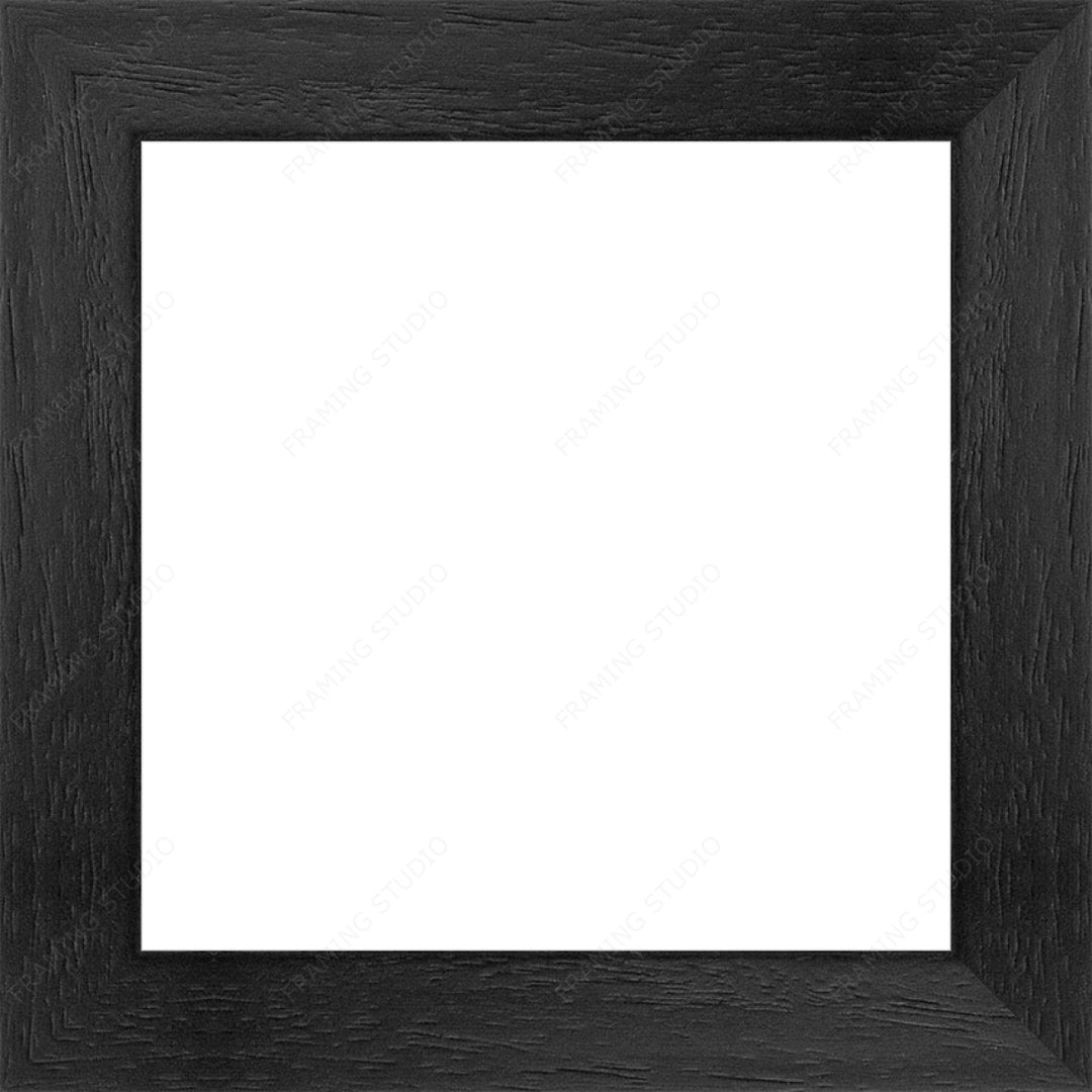 Custom Frame + Mount