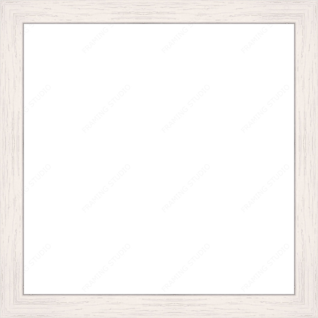 Custom Frame + Mount