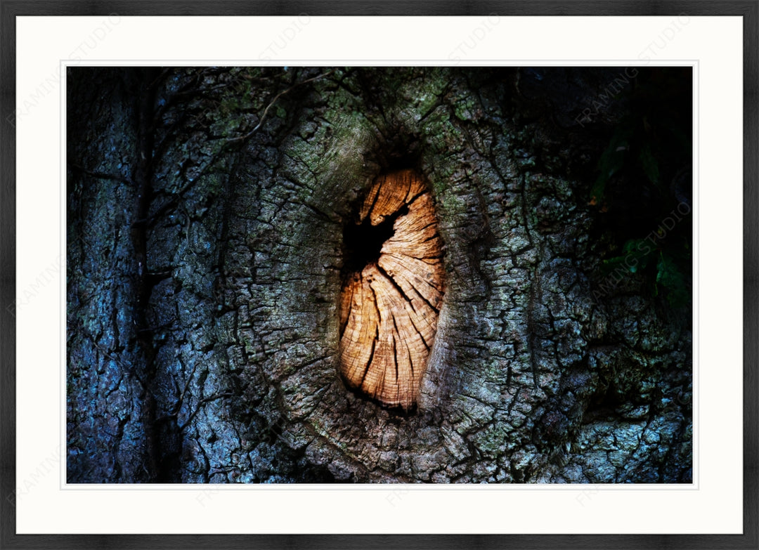 Custom Frame + Mount