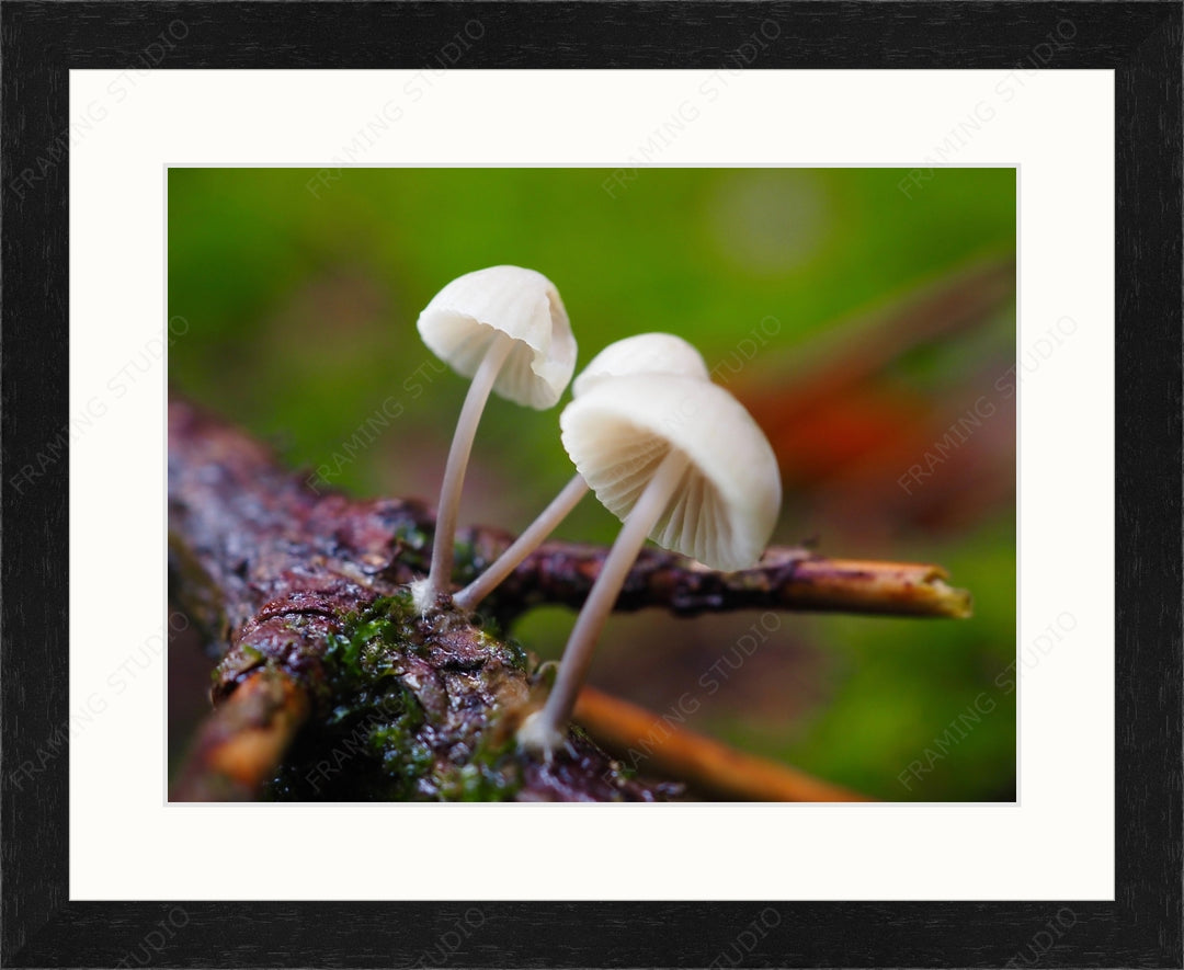 Upload, Print & Frame