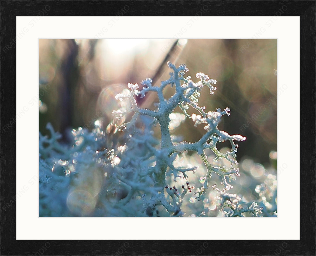 Upload, Print & Frame