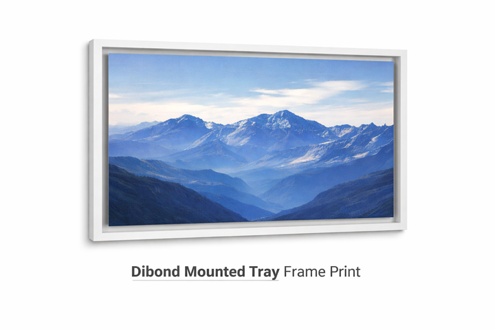Dibond Mounted Tray Frame Print