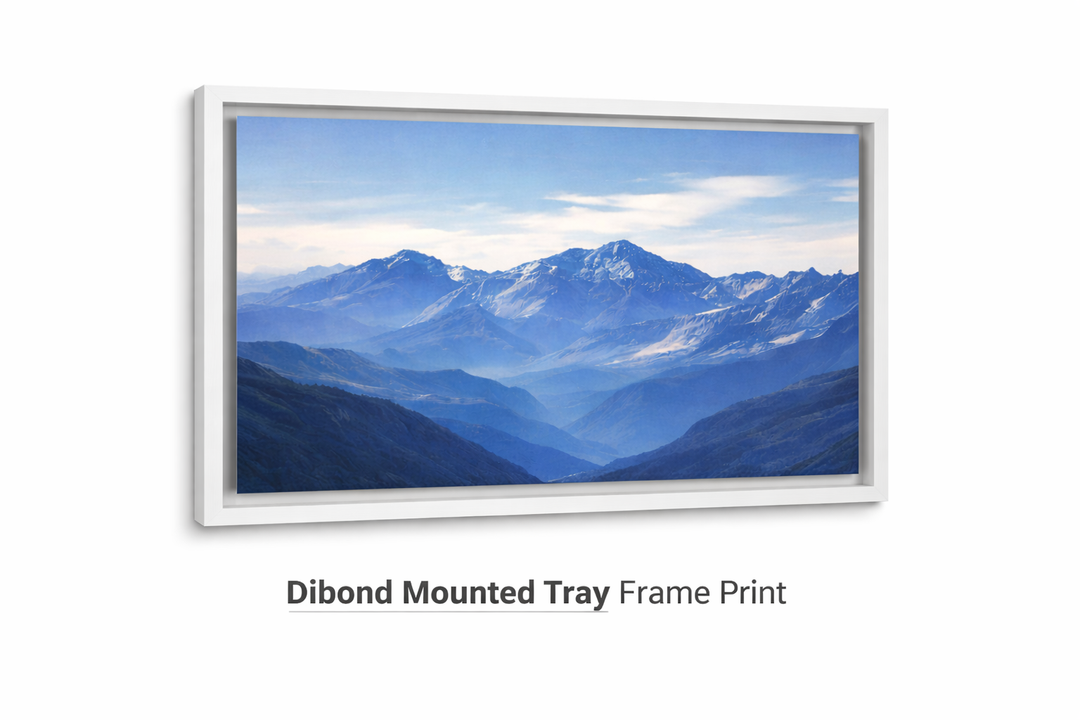 Dibond Mounted Tray Frame Print
