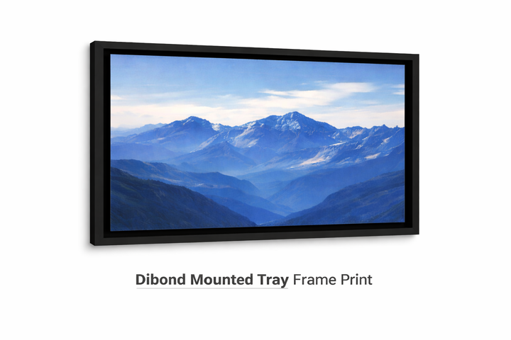 Dibond Mounted Tray Frame Print