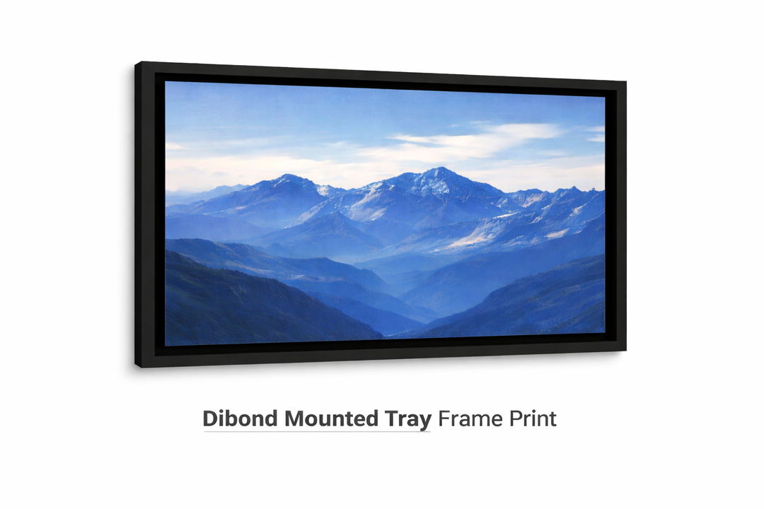 Dibond Mounted Tray Frame Print