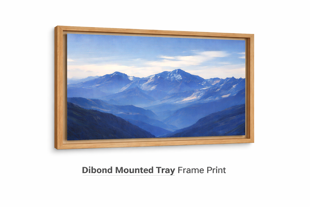 Dibond Mounted Tray Frame Print