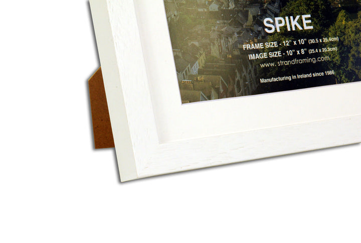 Spike Photo Frame (2032) - Pack of 6 Frames