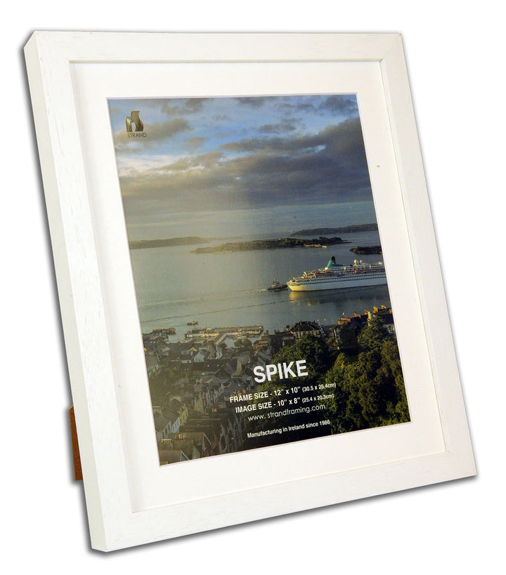 Spike Photo Frame (2032) - Pack of 6 Frames
