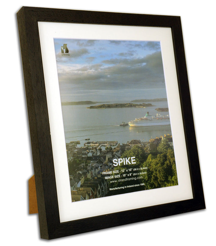 Spike Photo Frame (2032) - Pack of 6 Frames