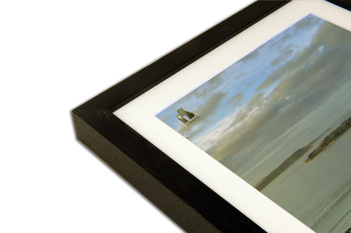 Spike Photo Frame (2032) - Pack of 6 Frames