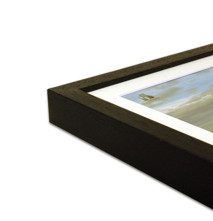 Spike Photo Frame (2032) - Pack of 6 Frames