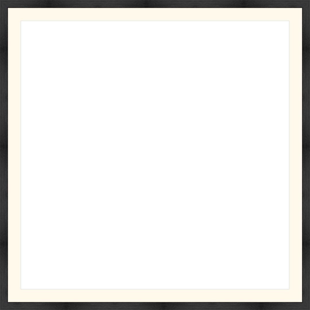 Custom Frame Preview