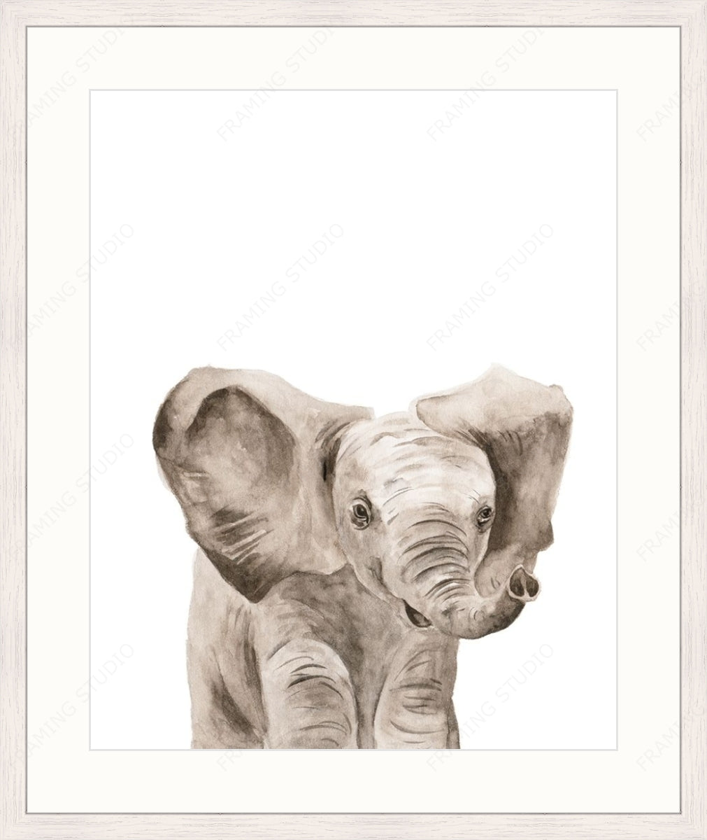 Framed Print
