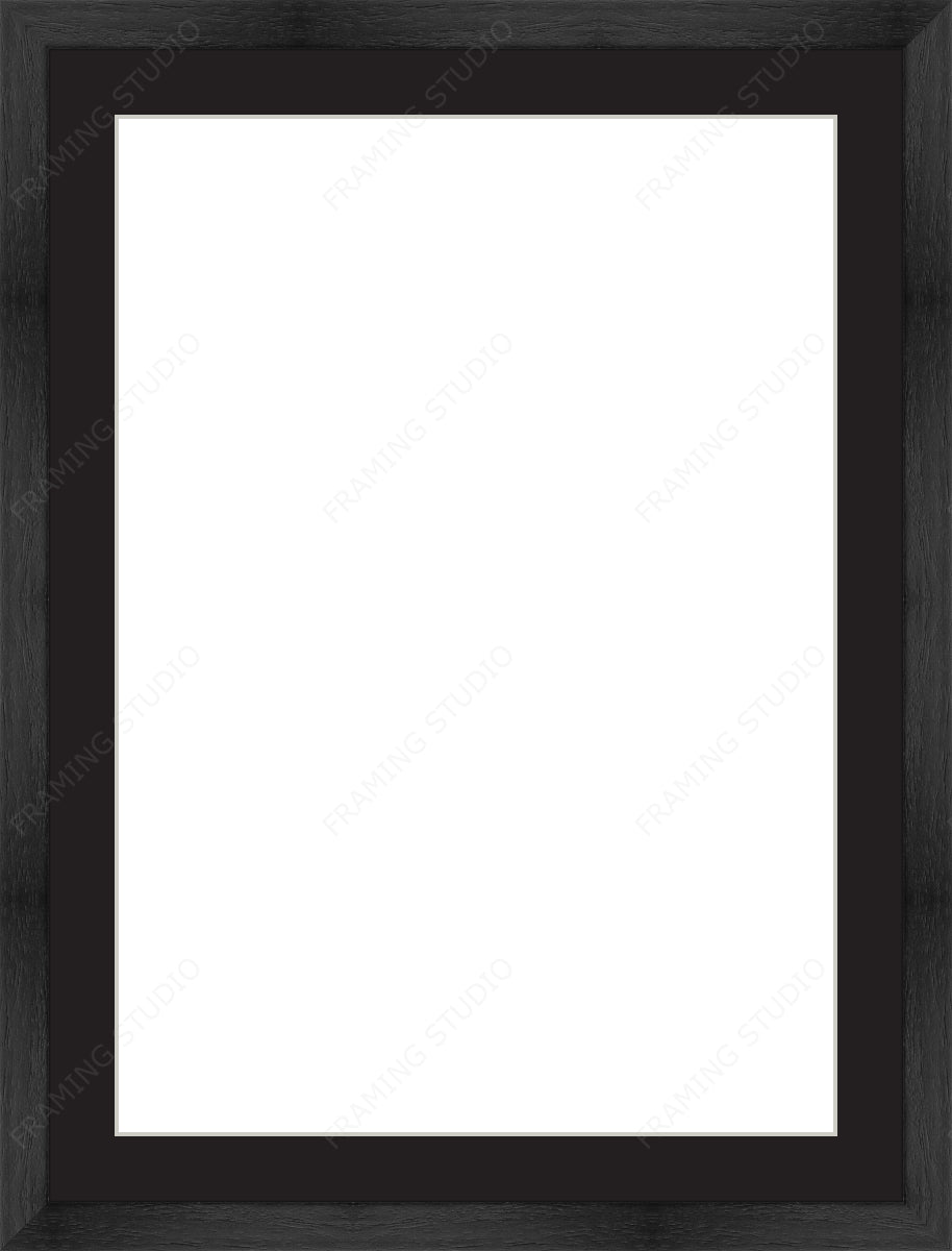 Custom Frame + Mount