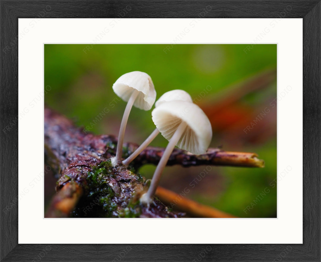 Upload, Print & Frame