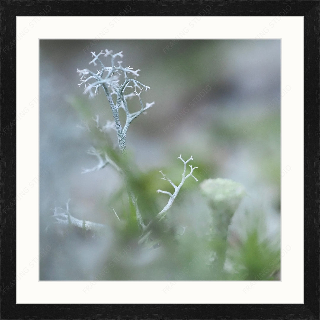 Upload, Print & Frame