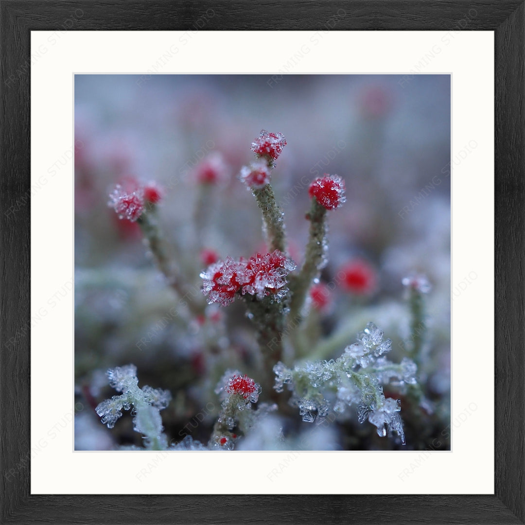Upload, Print & Frame