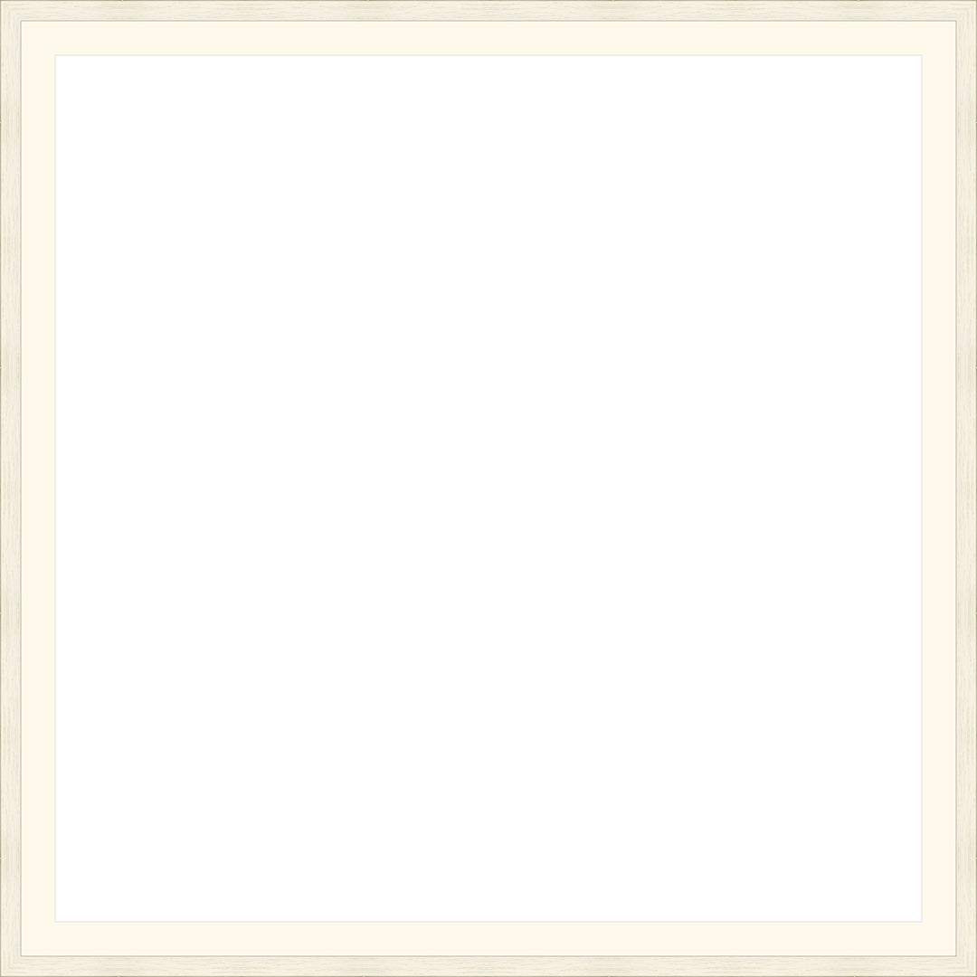 Custom Frame Preview