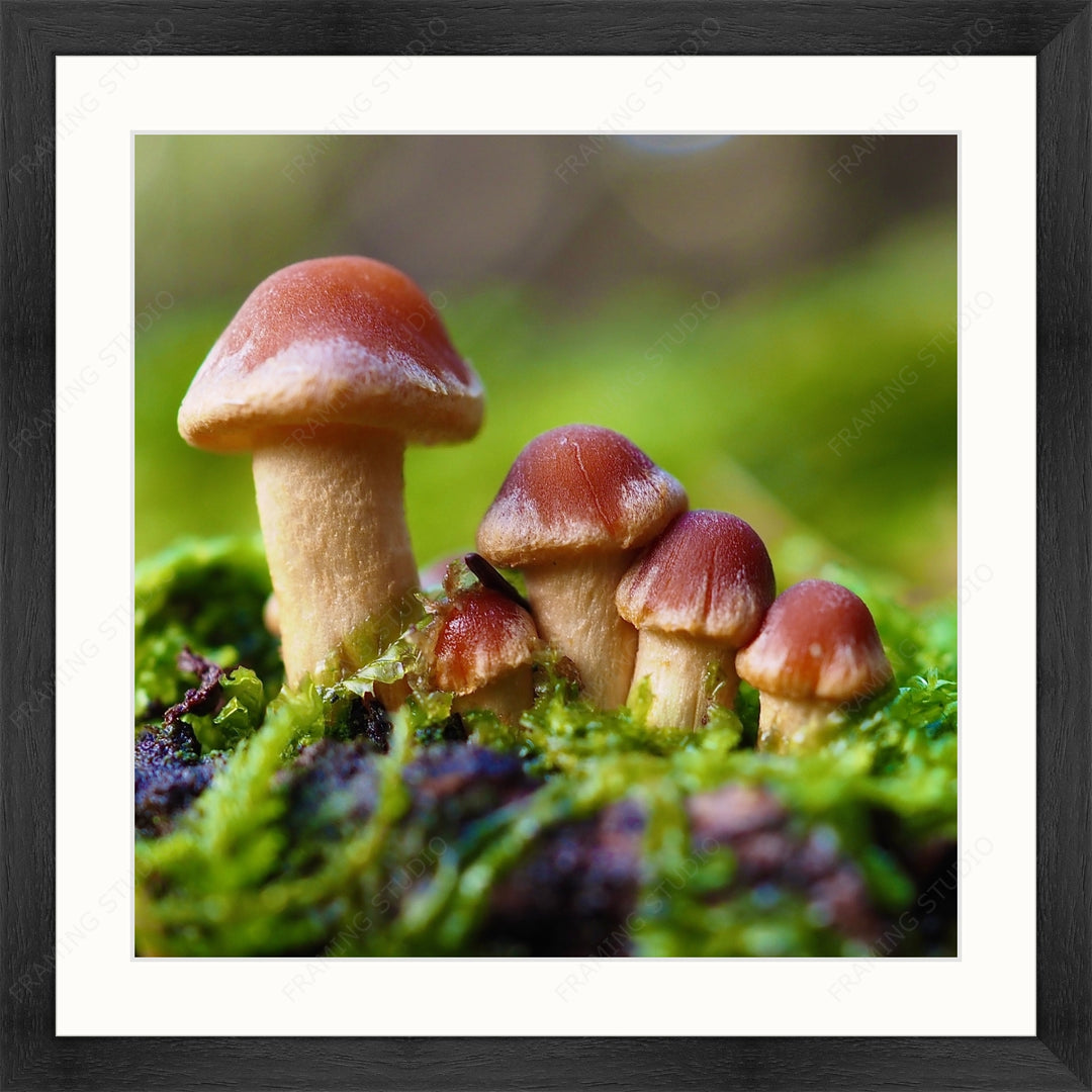 Upload, Print & Frame