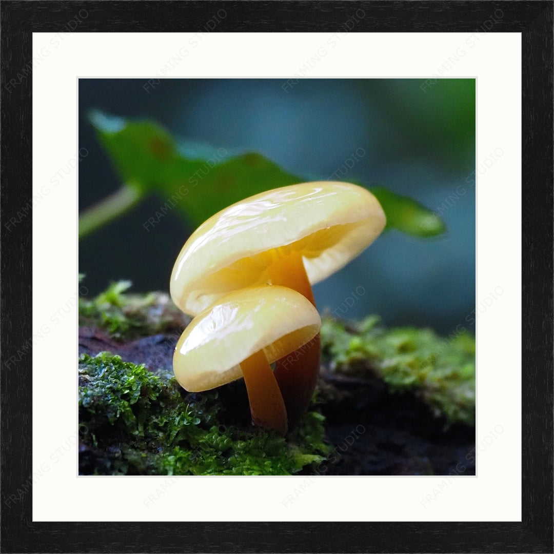 Upload, Print & Frame