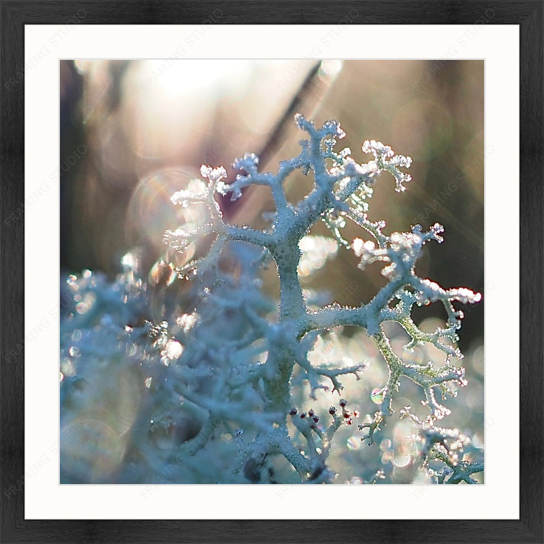 Upload, Print & Frame