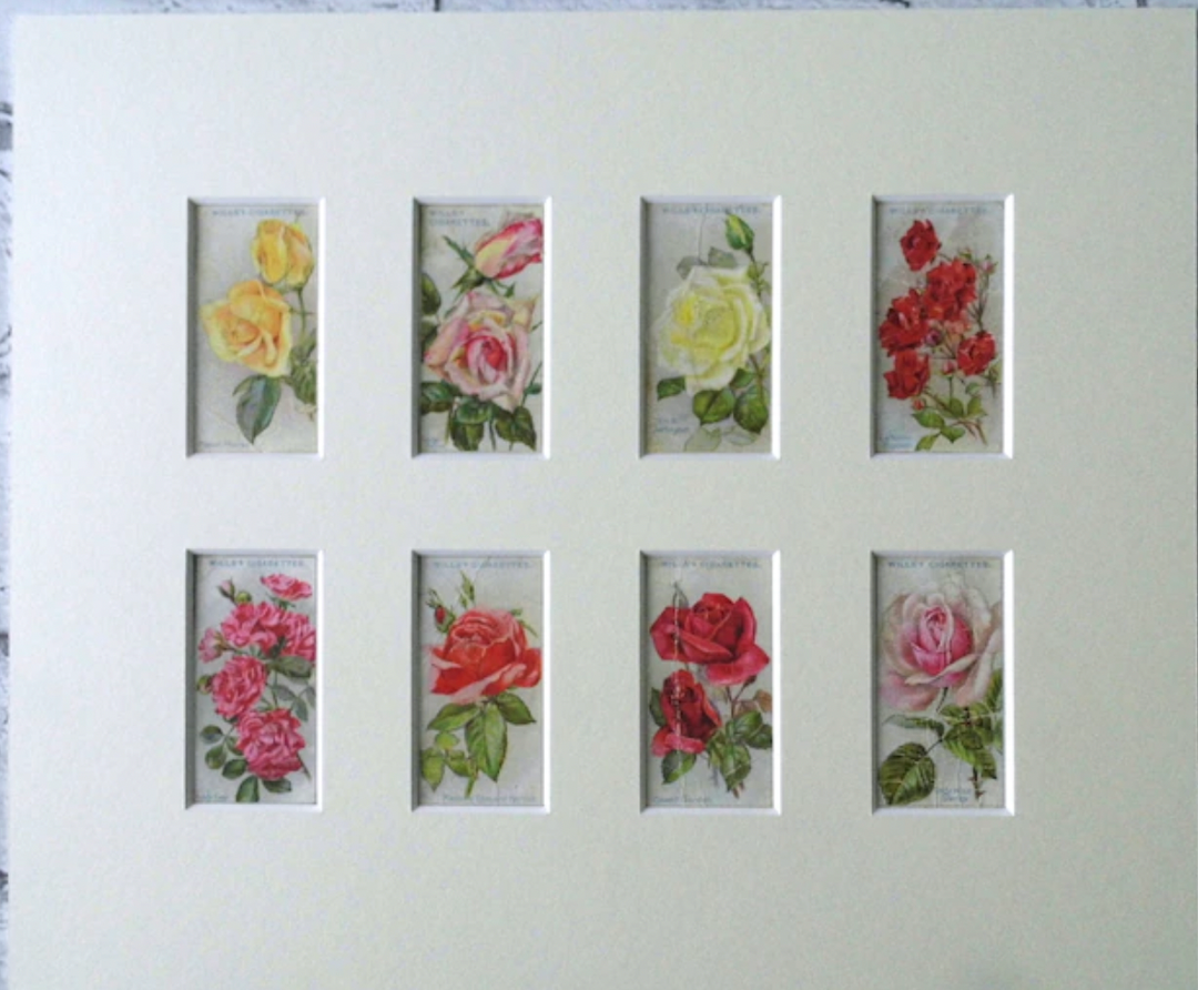 10 x 8 inch picture frames collection